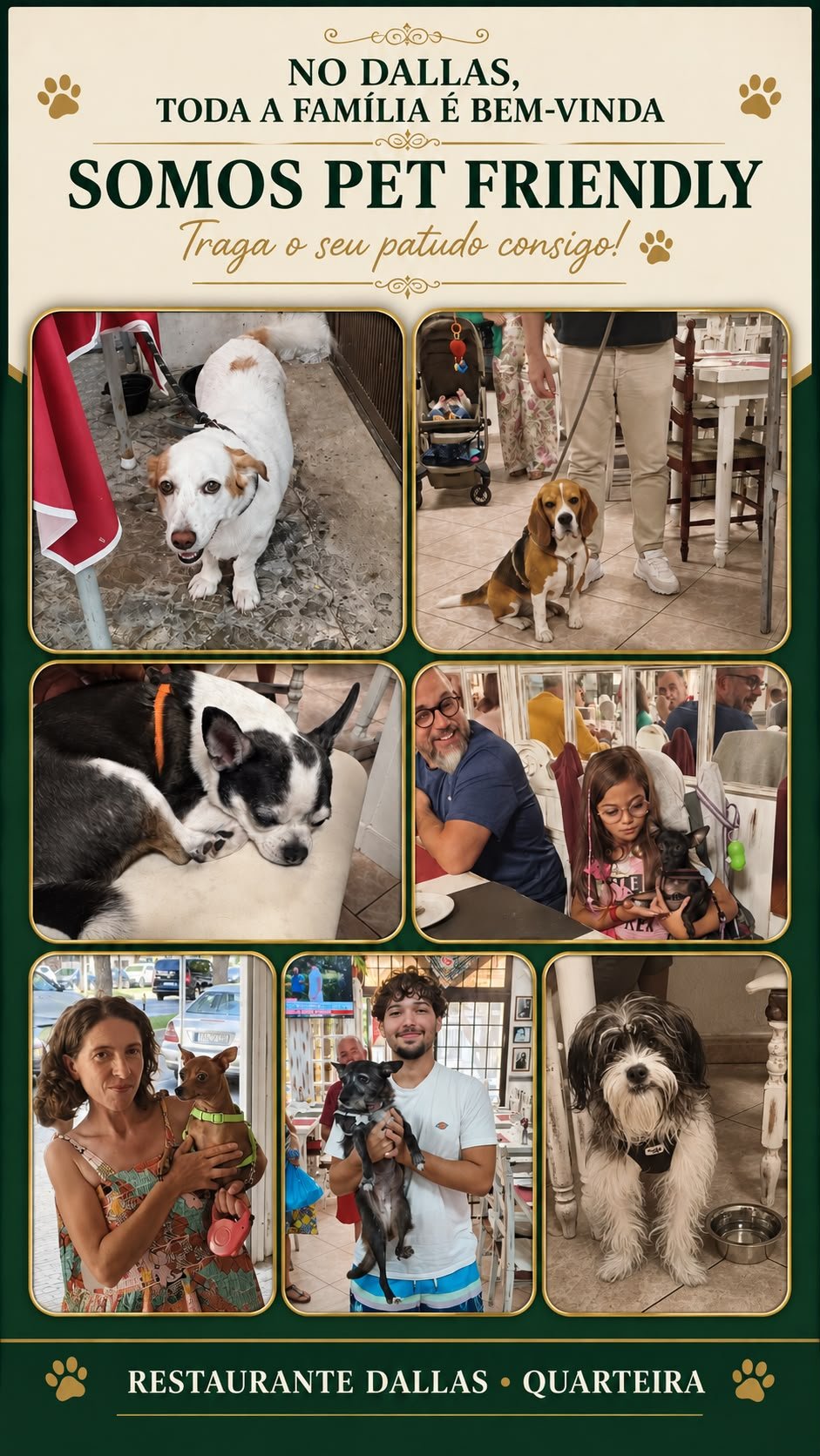 Dallas Pet Friendly - Nossos Clientes de Quatro Patas